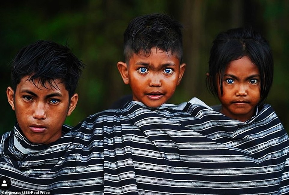 Mata Orang Asli Indonesia  berwarna biru Soya Lemon